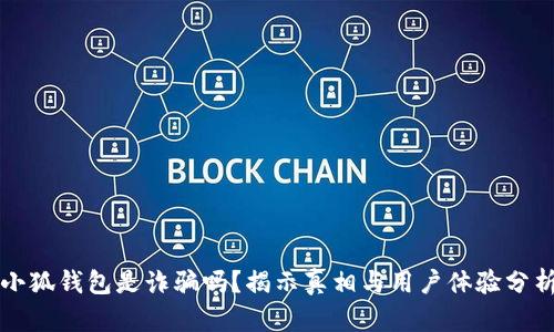 小狐钱包是诈骗吗？揭示真相与用户体验分析