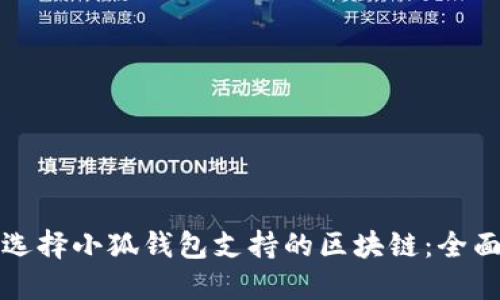 如何选择小狐钱包支持的区块链：全面指南