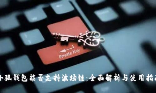 小狐钱包能否支持波场链：全面解析与使用指南