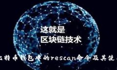 详解比特币钱包中的resc