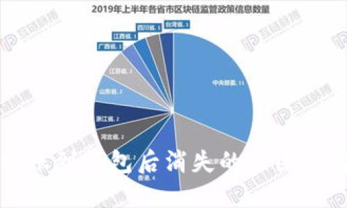 狗狗币转账到钱包后消失的原因及解决方法