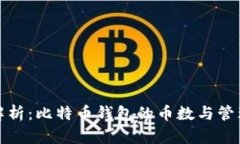 全面解析：比特币钱包的