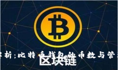 全面解析：比特币钱包的币数与管理策略