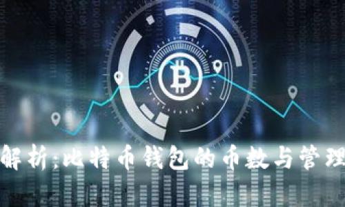 全面解析：比特币钱包的币数与管理策略