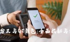  比特币分叉与QT钱包：全