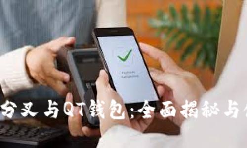  比特币分叉与QT钱包：全面揭秘与使用指南