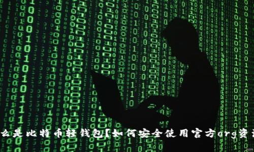 什么是比特币轻钱包？如何安全使用官方org资源？