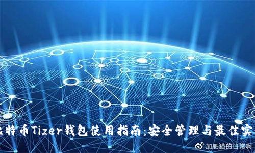 比特币Tizer钱包使用指南：安全管理与最佳实践